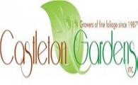 Castleton Gardens